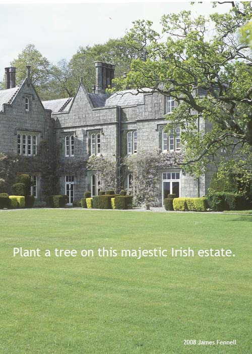 Unique Irish Gift - Plant a Tree in Ireland